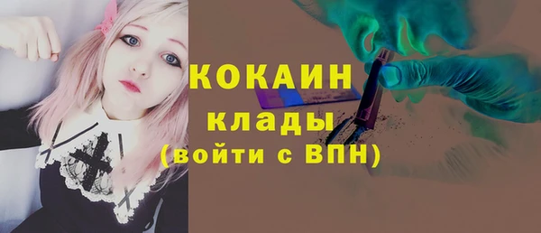 хмурый Вяземский
