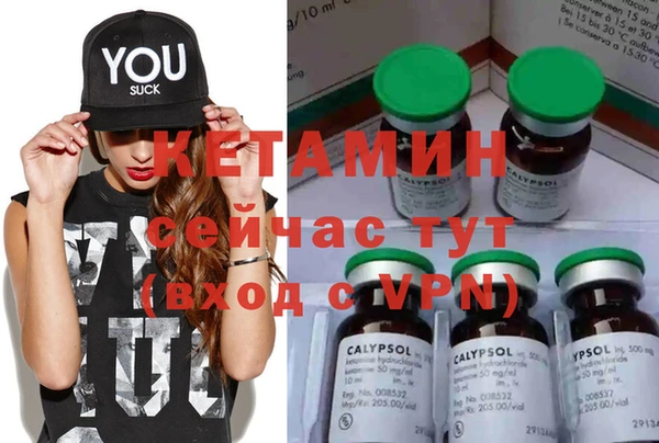 хмурый Вяземский