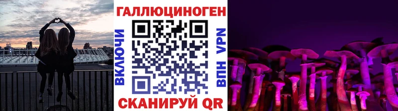 наркотики  Сызрань  Псилоцибиновые грибы Psilocybe 